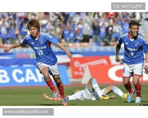 水户蜀葵与喜悦的对决探讨情感与自然的交融之美